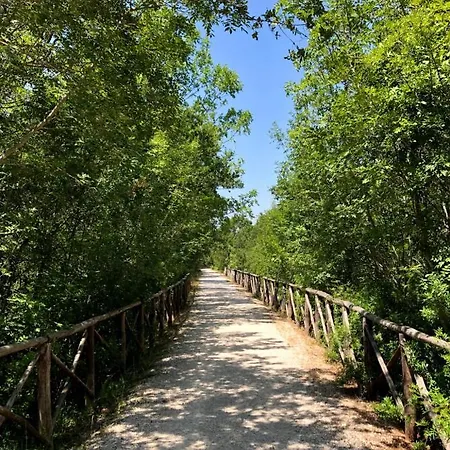 公寓 Casa 34 切列梅萨皮卡