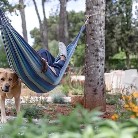 Casa 34 * Ceglie Messapica