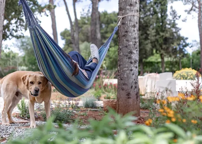 Casa 34 * Ceglie Messapica