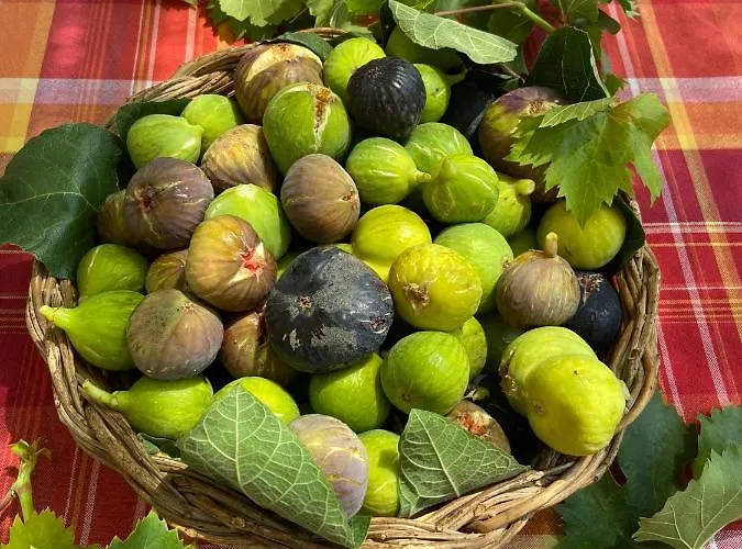 Casa 34 Appartamento *