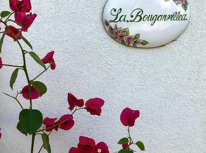 Casa 34 * צ'לייה מספיקה